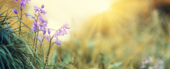 Taking time away for therapist burnout