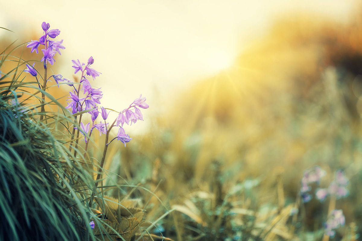 Taking time away for therapist burnout