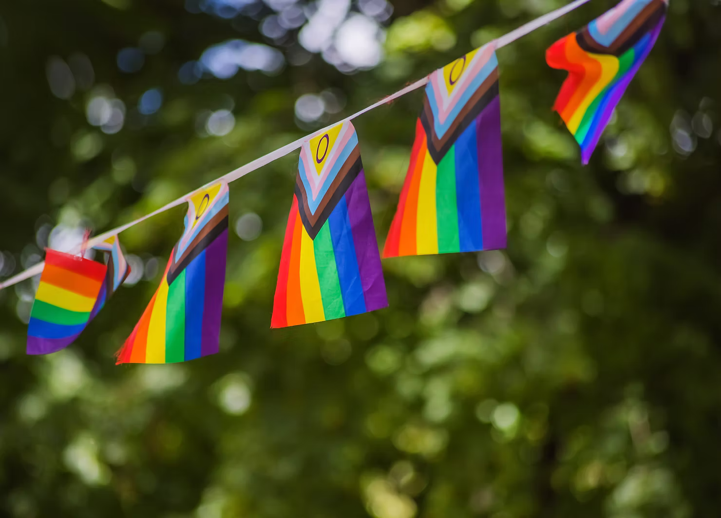 LGBTQIA flags